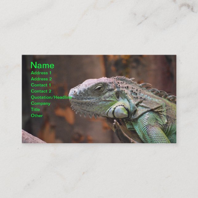 Business Card with colourful Iguana Lizard (Front)