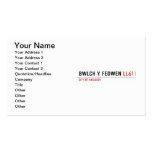 Bwlch Y Fedwen  Business Cards