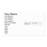 Jassjit Street  Business Cards