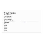 STHEMBISO MKHIZE STREET  Business Cards