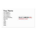 Calle Flamenca  Business Cards