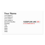 Floodplain lane  Business Cards
