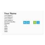mods gay  Business Cards