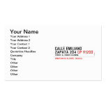 CALLE EMILIANO  ZAPATA 204  Business Cards