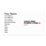 Sandra Cross Richmond Avenue  Business Cards