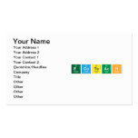 Ecoteach  Business Cards