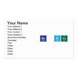 Be Nice  Business Cards
