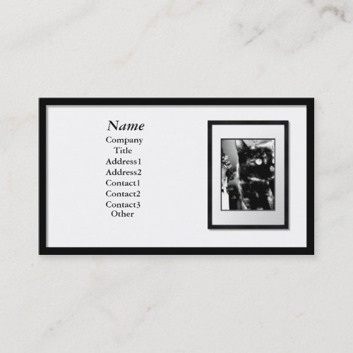 Business Cards _ Black Picture Frame white mat