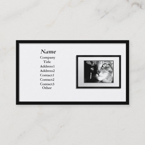 Business Cards _ Black Picture Frame white mat