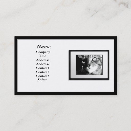 Customizable Business Cards - Black Picture Frame (white mat)