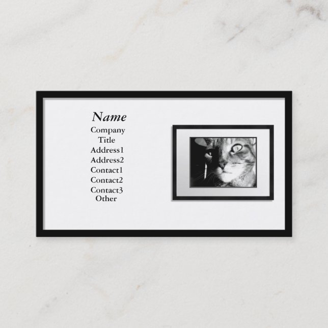 Business Cards - Black Picture Frame (white mat) (Front)