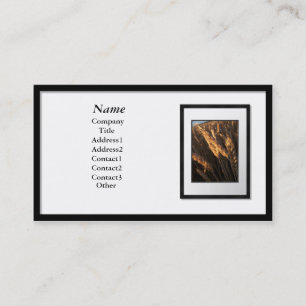 Business Cards - Black Picture Frame (white mat)