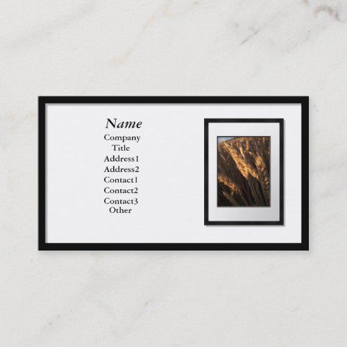Business Cards - Black Picture Frame (white mat)