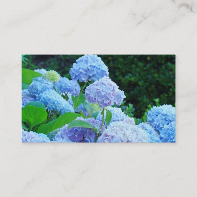 Business Cards Blue Hydrangea Flowers Floral (Front)