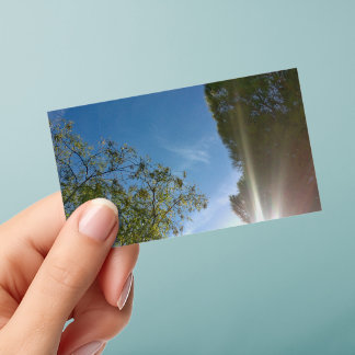 business cards clear