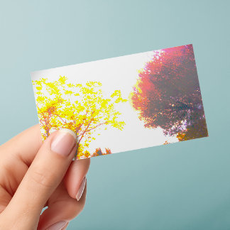 business cards clear