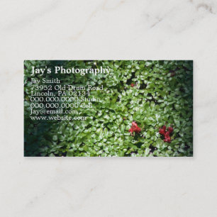 Business Cards For Photographers