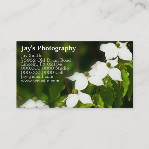 Customizable Business Cards For Photographers