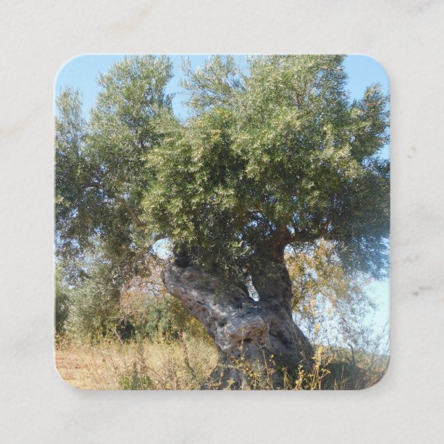 Business Cards old tree design style  (Front)