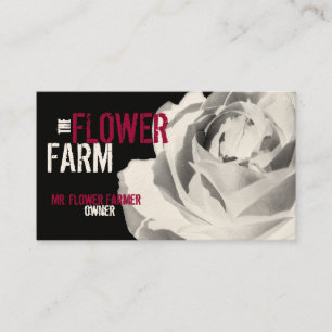 Business Cards Rose Photo Flower White Template