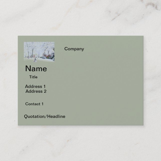 BUSINESS cards  SNOW  DESIGN (Front)