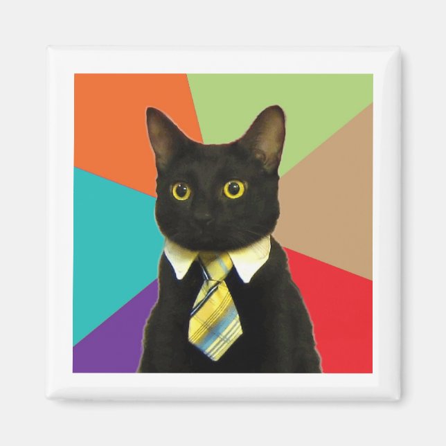 Business Cat Advice Animal Meme Magnet (Front)