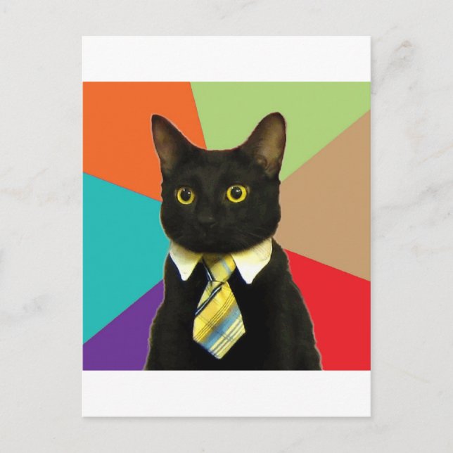 Business Cat Advice Animal Meme Postcard (Front)