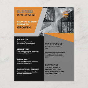 Business Development Flyer