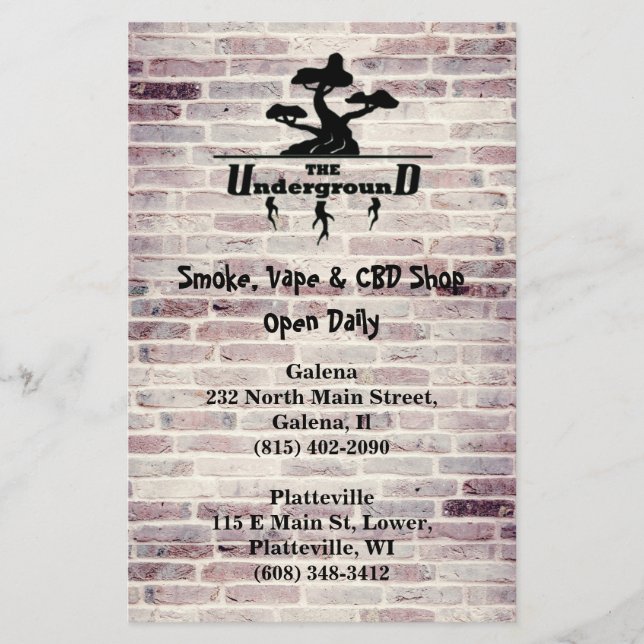 Business Logo and Address info Double Sided  Flyer (Front)