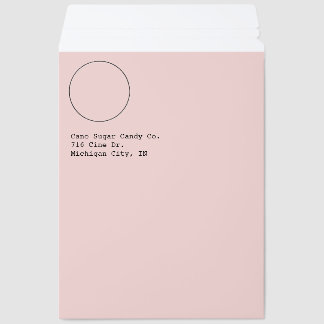 Business Mailer Template Custom Kraft pink