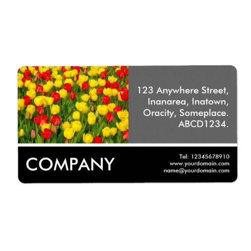 Business Photo _ Colorful Tulips Label
