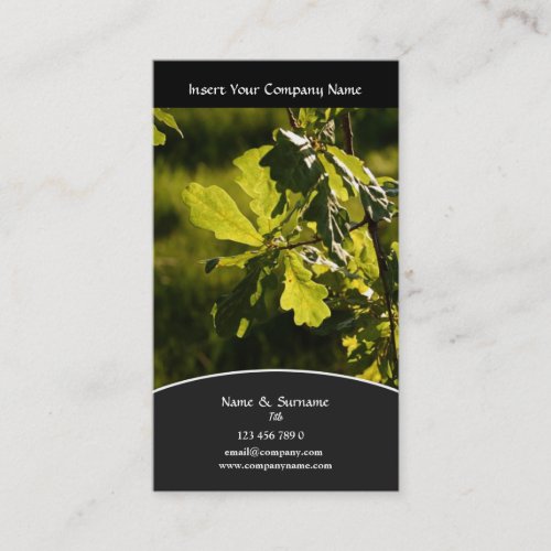 Business profile Winery vineyard grape Business Card Templates