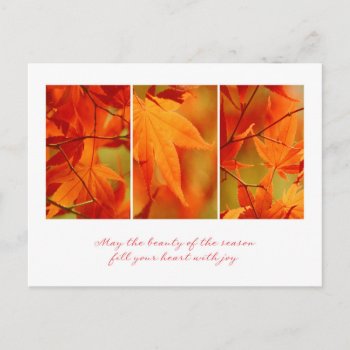 Business Thanksgiving Postcard / For Customers by SueshineStudio at Zazzle