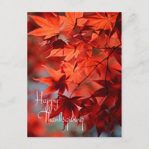 Business Thanksgiving Postcard  Red Autumn Leaves