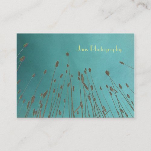 Businesscards template, wheat grass business card templates