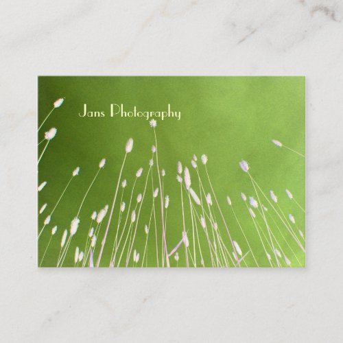 Businesscards template, wheat grass business card template