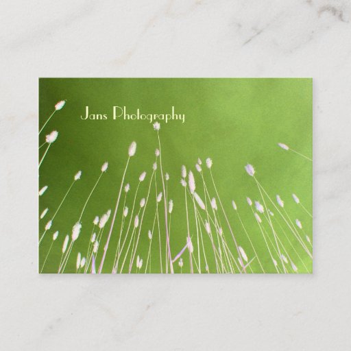 Customizable Businesscards template, wheat grass business card template