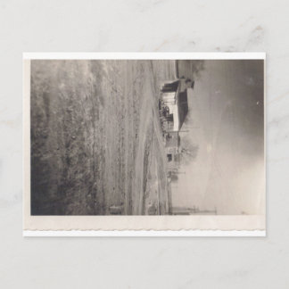 Businesses on Pine Street Postcard