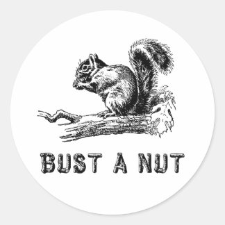 Bust a nut classic round sticker