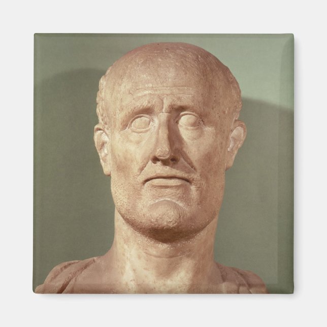 Bust of Alcibiades Magnet (Front)