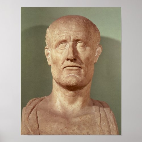 Bust of Alcibiades Poster