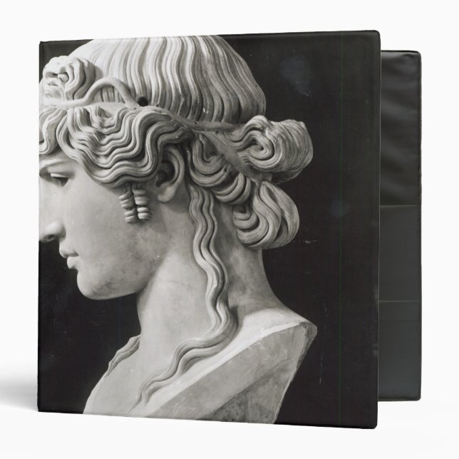 Bust of Antinous  called 'Antinous Mondragone' Binder (Front/Inside)