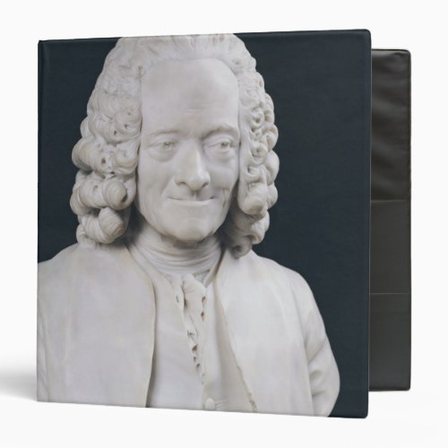 Bust of Francois Marie Arouet de Voltaire  1778 Binder