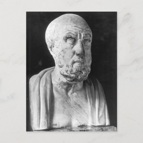 Bust of Hippocrates Postcard