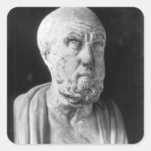 Bust of Hippocrates Square Sticker