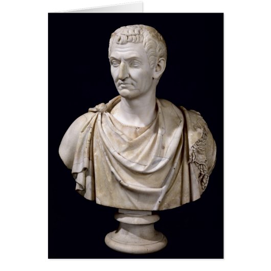 Bust of Marcus Cocceius Nerva Cards (Front)