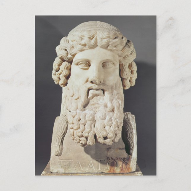 Bust of Plato Postcard (Front)