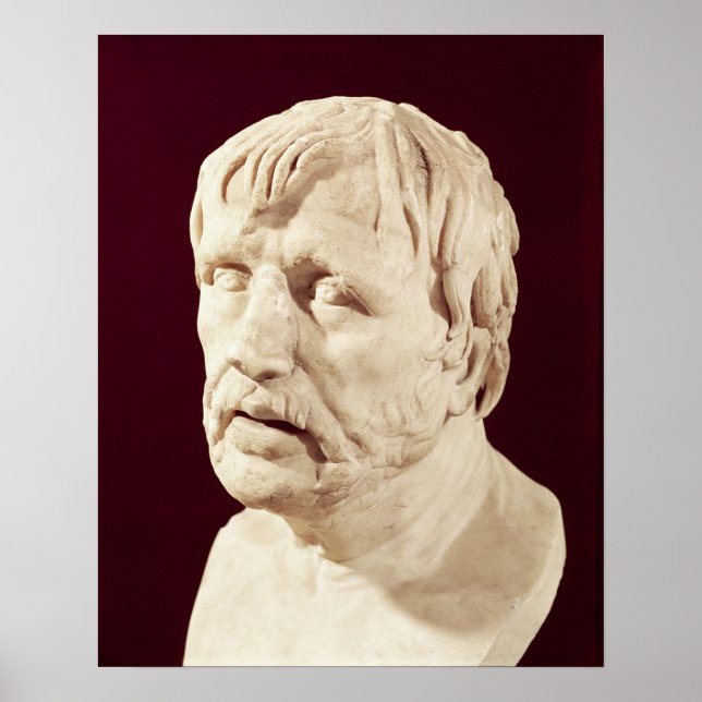 Bust of Seneca Poster (Front)