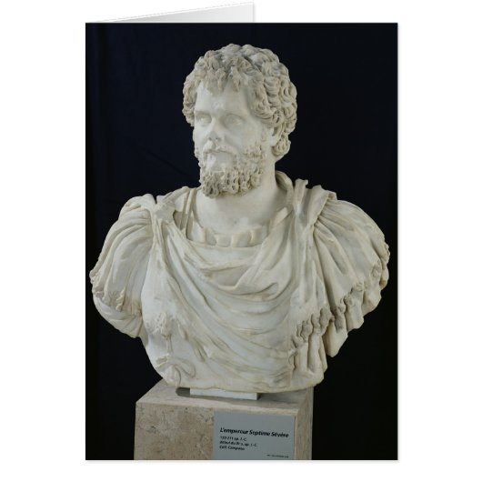 Bust of Septimus Severus Cards (Front)