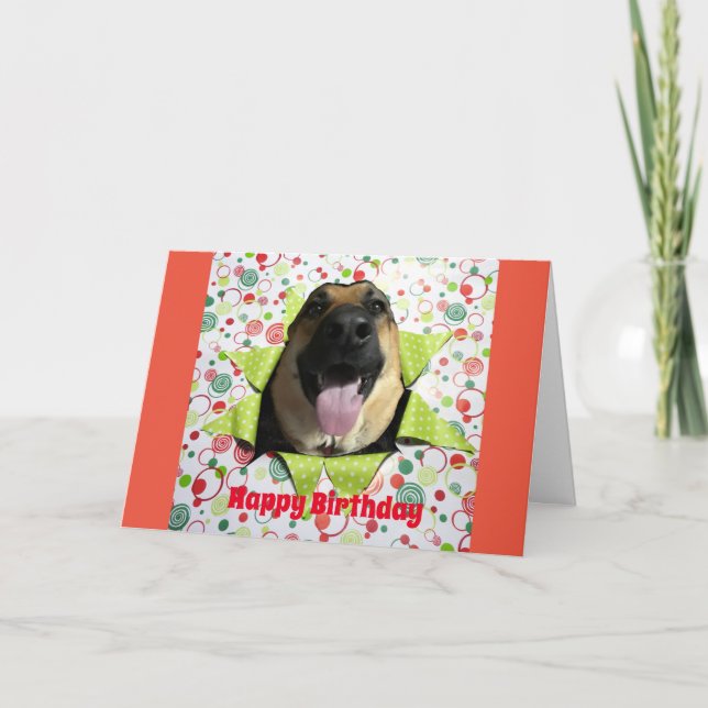 Bust Out German Shepherd Birthday Greeting Card (Front)